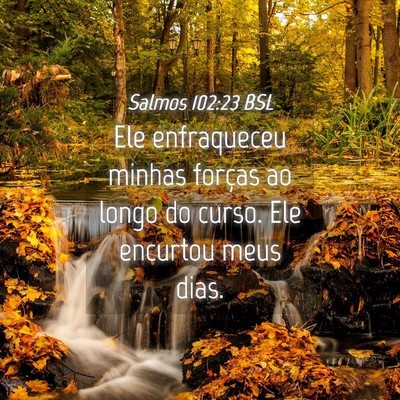 Picture 04 - Salmos 102:23 BSL - Ele enfraqueceu minhas forças ao longo do curso. - Bible Verse Picture