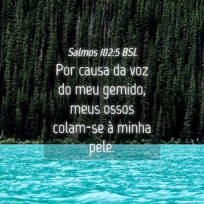 Picture 04 - Salmos 102:5 BSL - Por causa da voz do meu gemido, meus ossos - Bible Verse Picture