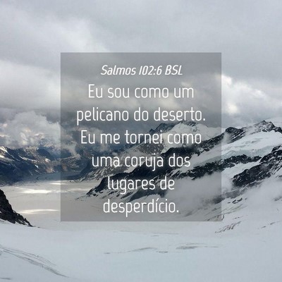 Picture 04 - Salmos 102:6 BSL - Eu sou como um pelicano do deserto. Eu me tornei - Bible Verse Picture