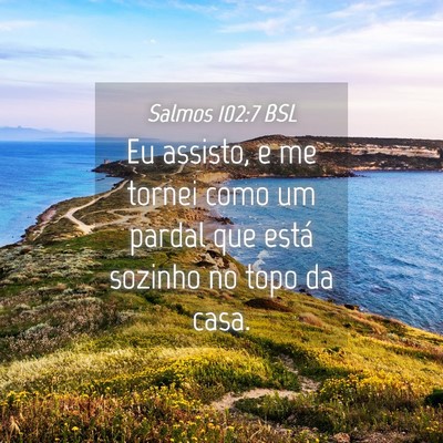Picture 04 - Salmos 102:7 BSL - Eu assisto, e me tornei como um pardal que está - Bible Verse Picture