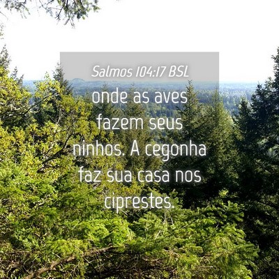 Picture 04 - Salmos 104:17 BSL - onde as aves fazem seus ninhos. A cegonha faz sua - Bible Verse Picture