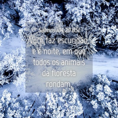 Picture 04 - Salmos 104:20 BSL - Você faz escuridão, e é noite, em que todos os - Bible Verse Picture