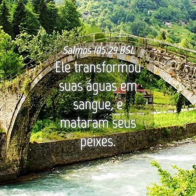 Picture 04 - Salmos 105:29 BSL - Ele transformou suas águas em sangue, e mataram - Bible Verse Picture