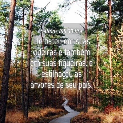 Picture 04 - Salmos 105:33 BSL - Ele bateu em suas videiras e também em suas - Bible Verse Picture