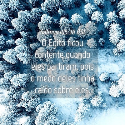 Picture 04 - Salmos 105:38 BSL - O Egito ficou contente quando eles partiram, pois - Bible Verse Picture