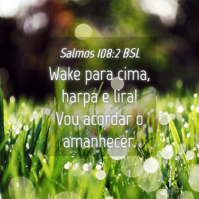 Picture 04 - Salmos 108:2 BSL - Wake para cima, harpa e lira! Vou acordar o - Bible Verse Picture