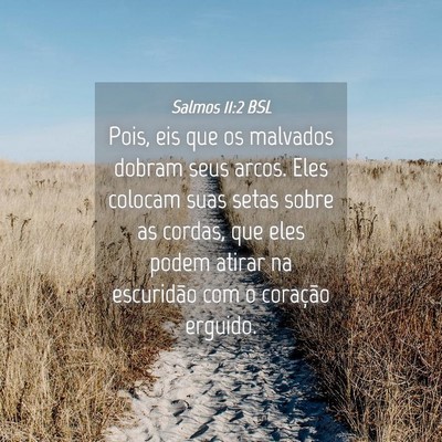 Picture 04 - Salmos 11:2 BSL - Pois, eis que os malvados dobram seus arcos. Eles - Bible Verse Picture