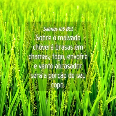 Picture 04 - Salmos 11:6 BSL - Sobre o malvado choverá brasas em chamas; fogo, - Bible Verse Picture