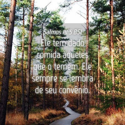 Picture 04 - Salmos 111:5 BSL - Ele tem dado comida àqueles que o temem. Ele - Bible Verse Picture
