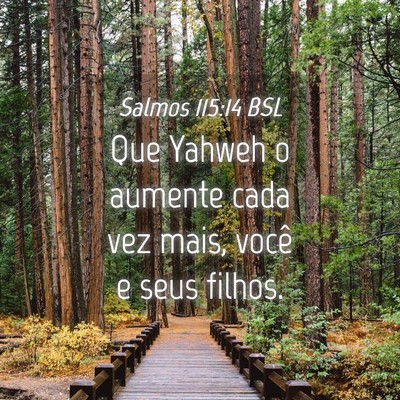 Picture 04 - Salmos 115:14 BSL - Que Yahweh o aumente cada vez mais, você e seus - Bible Verse Picture