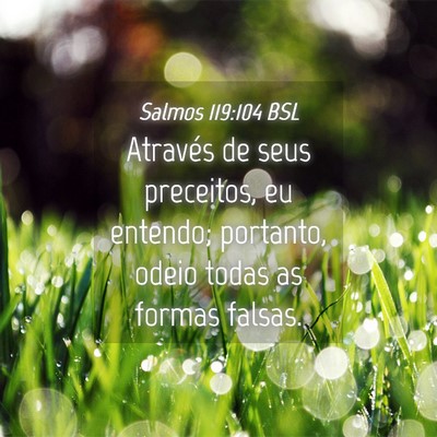 Picture 04 - Salmos 119:104 BSL - Através de seus preceitos, eu entendo; portanto, - Bible Verse Picture