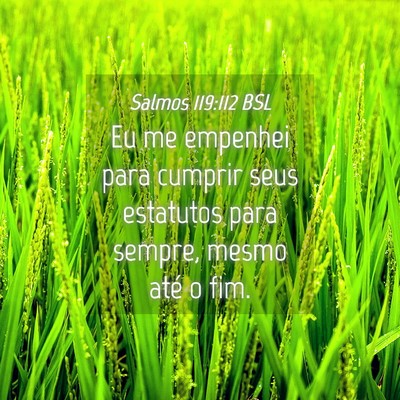 Picture 04 - Salmos 119:112 BSL - Eu me empenhei para cumprir seus estatutos para - Bible Verse Picture