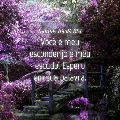 Picture 04 - Salmos 119:114 BSL - Você é meu esconderijo e meu escudo. Espero em - Bible Verse Picture