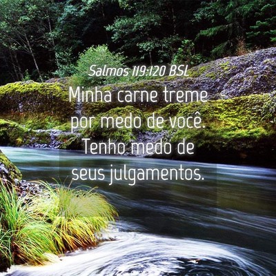 Picture 04 - Salmos 119:120 BSL - Minha carne treme por medo de você. Tenho medo - Bible Verse Picture
