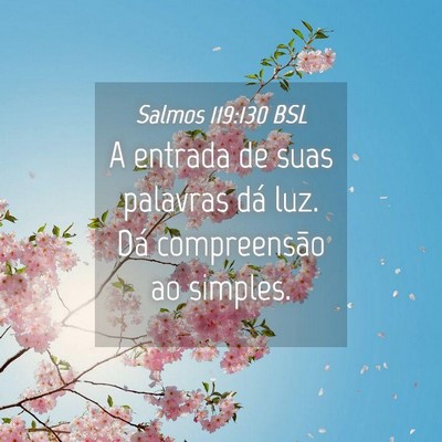Picture 04 - Salmos 119:130 BSL - A entrada de suas palavras dá luz. Dá - Bible Verse Picture
