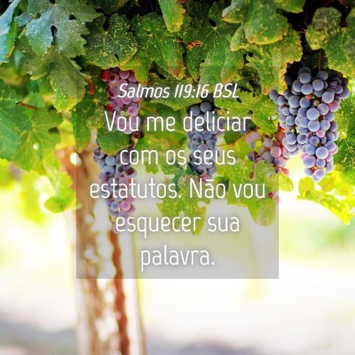 Picture 04 - Salmos 119:16 BSL - Vou me deliciar com os seus estatutos. Não vou - Bible Verse Picture