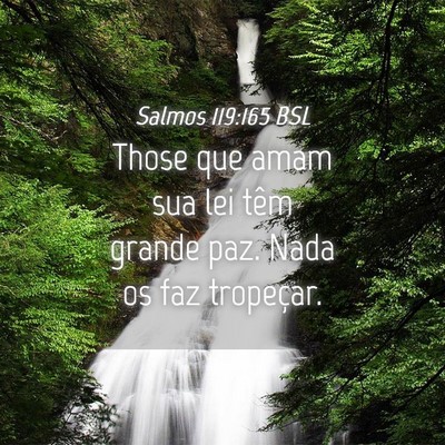 Picture 04 - Salmos 119:165 BSL - Those que amam sua lei têm grande paz. Nada os - Bible Verse Picture
