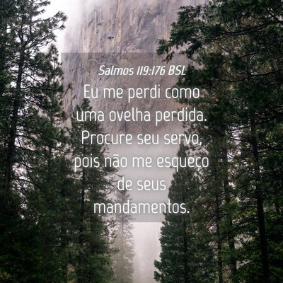 Picture 04 - Salmos 119:176 BSL - Eu me perdi como uma ovelha perdida. Procure seu - Bible Verse Picture