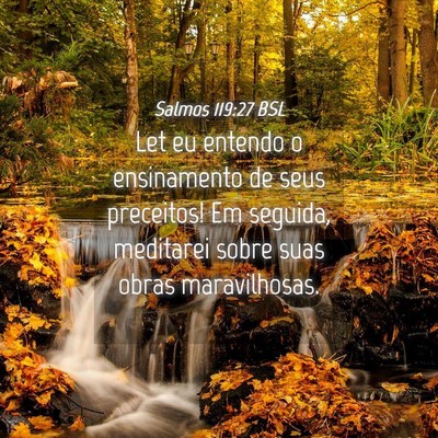 Picture 04 - Salmos 119:27 BSL - Let eu entendo o ensinamento de seus preceitos! - Bible Verse Picture