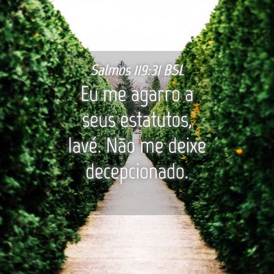 Picture 04 - Salmos 119:31 BSL - Eu me agarro a seus estatutos, Iavé. Não me - Bible Verse Picture