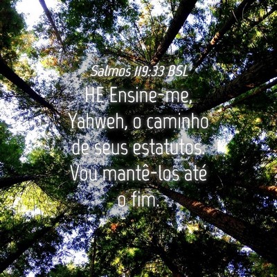 Picture 04 - Salmos 119:33 BSL - HE Ensine-me, Yahweh, o caminho de seus - Bible Verse Picture