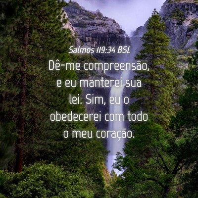 Picture 04 - Salmos 119:34 BSL - Dê-me compreensão, e eu manterei sua lei. Sim, - Bible Verse Picture
