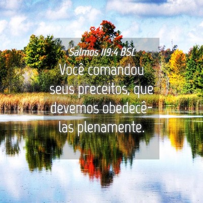 Picture 04 - Salmos 119:4 BSL - Você comandou seus preceitos, que devemos - Bible Verse Picture