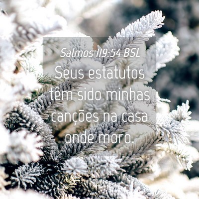 Picture 04 - Salmos 119:54 BSL - Seus estatutos têm sido minhas canções na casa - Bible Verse Picture