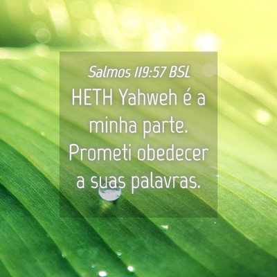 Picture 04 - Salmos 119:57 BSL - HETH Yahweh é a minha parte. Prometi obedecer a - Bible Verse Picture