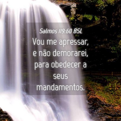 Picture 04 - Salmos 119:60 BSL - Vou me apressar, e não demorarei, para obedecer - Bible Verse Picture