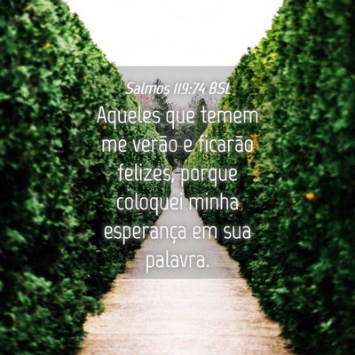 Picture 04 - Salmos 119:74 BSL - Aqueles que temem me verão e ficarão felizes, - Bible Verse Picture