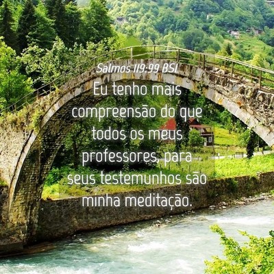 Picture 04 - Salmos 119:99 BSL - Eu tenho mais compreensão do que todos os meus - Bible Verse Picture
