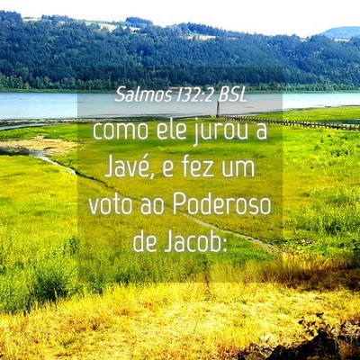 Picture 04 - Salmos 132:2 BSL - como ele jurou a Javé, e fez um voto ao Poderoso - Bible Verse Picture