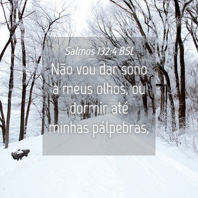 Picture 04 - Salmos 132:4 BSL - Não vou dar sono a meus olhos, ou dormir até - Bible Verse Picture