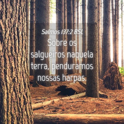 Picture 04 - Salmos 137:2 BSL - Sobre os salgueiros naquela terra, penduramos - Bible Verse Picture