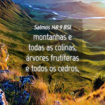 Picture 04 - Salmos 148:9 BSL - montanhas e todas as colinas, árvores - Bible Verse Picture