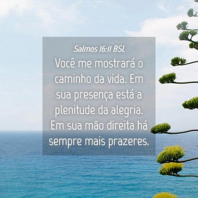 Picture 04 - Salmos 16:11 BSL - Você me mostrará o caminho da vida. Em sua - Bible Verse Picture