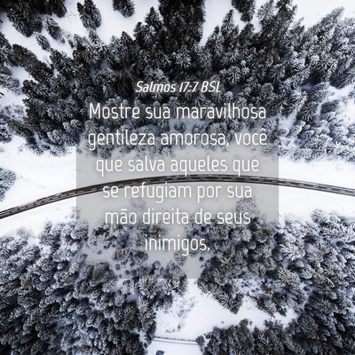 Picture 04 - Salmos 17:7 BSL - Mostre sua maravilhosa gentileza amorosa, você - Bible Verse Picture