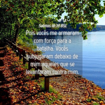 Picture 04 - Salmos 18:39 BSL - Pois vocês me armaram com força para a batalha. - Bible Verse Picture
