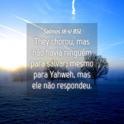 Picture 04 - Salmos 18:41 BSL - They chorou, mas não havia ninguém para salvar; - Bible Verse Picture