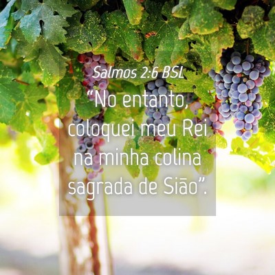 Picture 04 - Salmos 2:6 BSL - “No entanto, coloquei meu Rei na minha colina - Bible Verse Picture