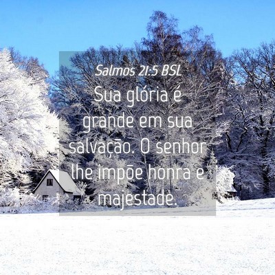 Picture 04 - Salmos 21:5 BSL - Sua glória é grande em sua salvação. O senhor - Bible Verse Picture