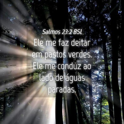 Picture 04 - Salmos 23:2 BSL - Ele me faz deitar em pastos verdes. Ele me conduz - Bible Verse Picture