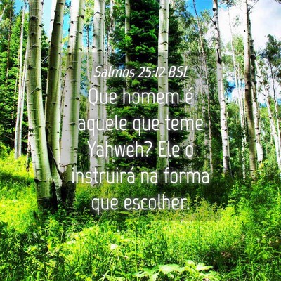 Picture 04 - Salmos 25:12 BSL - Que homem é aquele que teme Yahweh? Ele o - Bible Verse Picture