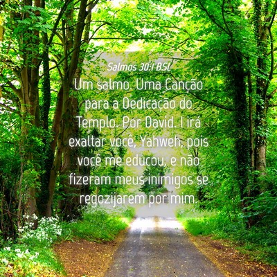 Picture 04 - Salmos 30:1 BSL - Um salmo. Uma Canção para a Dedicação do - Bible Verse Picture