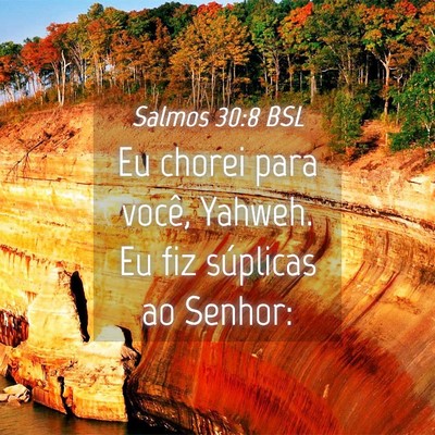Picture 04 - Salmos 30:8 BSL - Eu chorei para você, Yahweh. Eu fiz súplicas ao - Bible Verse Picture
