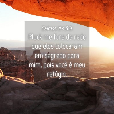 Picture 04 - Salmos 31:4 BSL - Pluck me fora da rede que eles colocaram em - Bible Verse Picture