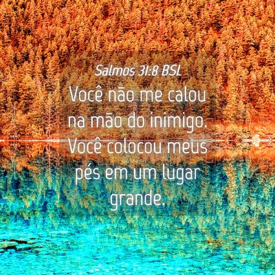 Picture 04 - Salmos 31:8 BSL - Você não me calou na mão do inimigo. Você - Bible Verse Picture