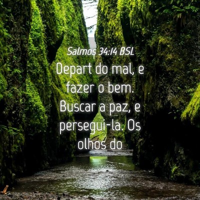Picture 04 - Salmos 34:14 BSL - Depart do mal, e fazer o bem. Buscar a paz, e - Bible Verse Picture