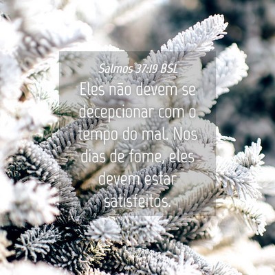 Picture 04 - Salmos 37:19 BSL - Eles não devem se decepcionar com o tempo do - Bible Verse Picture